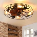 Lantern Style 20 Inch Farmhouse Low Profile Ceiling Fan Light - Black