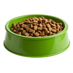 Dry Pet Food