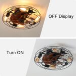 Lantern Style 20 Inch Farmhouse Low Profile Ceiling Fan Light - Image 6